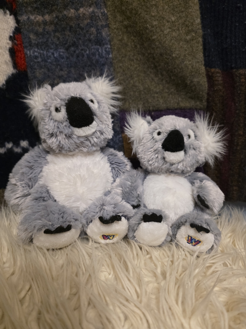 Webkinz Koala And Lil'kinz Koala No Codes